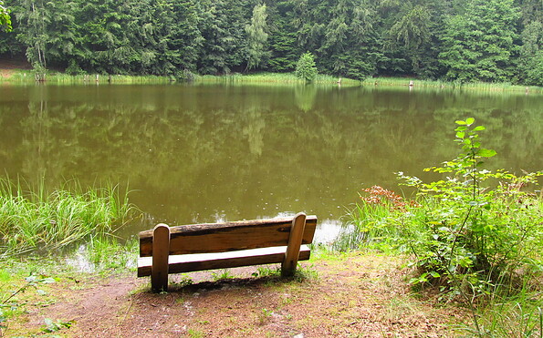 Baa See Bank, Foto: Bernd Müller, Lizenz: NaturFreunde Oberbarnim e.V.
