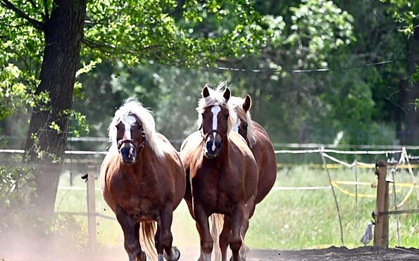 Foto: Landhaus Brodack, Lizenz: Landhaus Brodack