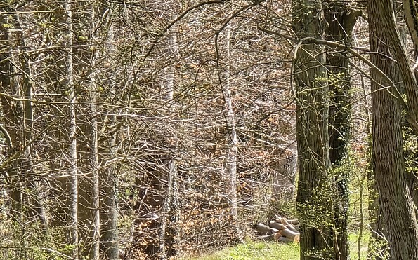 Foto: Bernd Müller Die NaturFreunde Oberbarnim