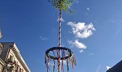 Maibaum aufstellen