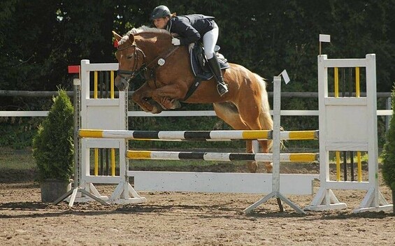 Dressur & Springturnier auf dem Pappelhof 2023, Foto: Eric Sack, Lizenz: Eric Sack
