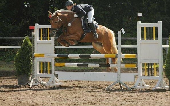 Dressur &amp; Springturnier auf dem Pappelhof 2023, Foto: Eric Sack, Lizenz: Eric Sack