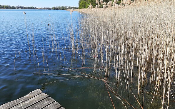 Foto: Petra Steffen, Lizenz: Tourist-Information