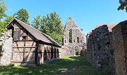 "Schwanensee" - Harfe, Lesung & Gesang