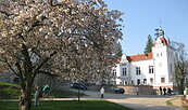 Schloss Boitzenburg mit Frühlingsblüte, Foto: Anet Hoppe (BY-NC-ND)