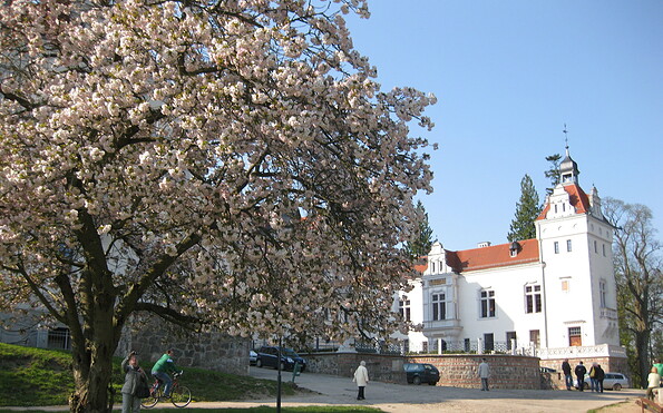 Schloss Boitzenburg mit Frühlingsblüte, Foto: Anet Hoppe (BY-NC-ND)