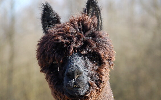 Foto: Sabine Hilger, Lizenz: Sabine Hilger