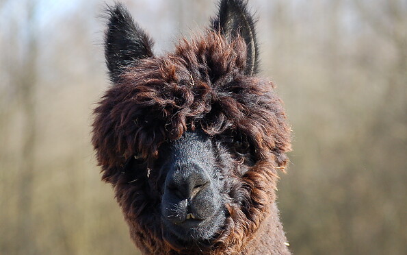 Foto: Sabine Hilger, Lizenz: Sabine Hilger