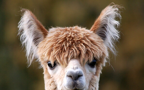 Foto: Sabine Hilger, Lizenz: Sabine Hilger