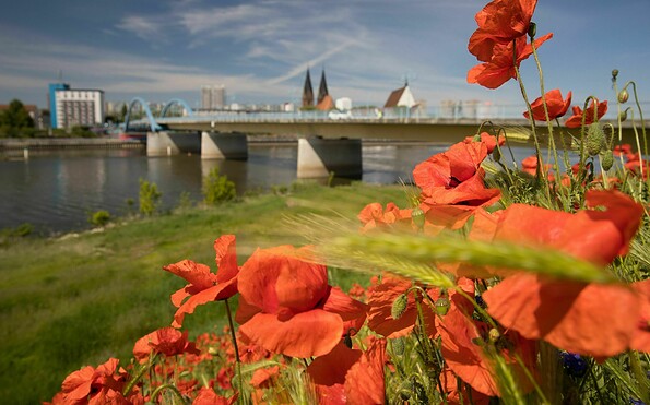Frankfurt (Oder), Foto: Artur Kozłowski, Lizenz: Stadtmarketing Frankfurt (Oder)