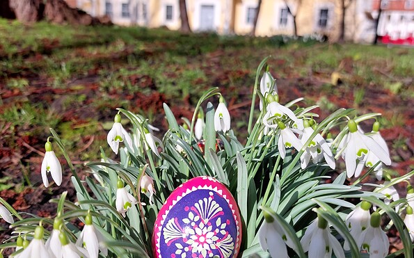 Foto: Dr. Corinna Junker, Lizenz: Stadt Lübben (Spreewald)