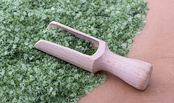 Themenreihe  „Dein Garten & Du“ > „Weißes Gold“ > Workshop