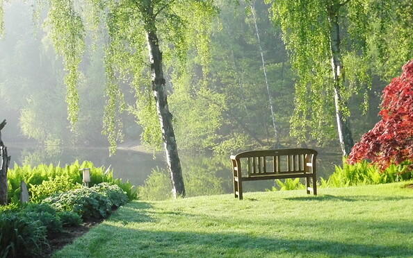 Foto: Ute Bernhardt, Lizenz: Ute Bernhardt