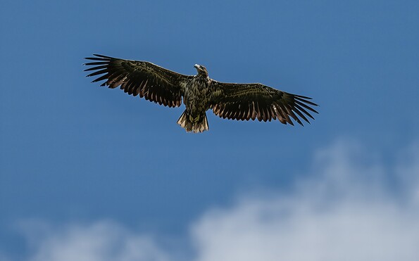 Foto: Stefan Barsch , Lizenz: Stefan Barsch