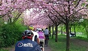 ADFC-Fahrradtour, Foto: J. Möbis, Lizenz: J. Möbis