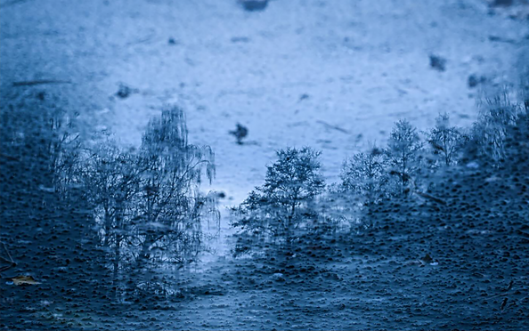 Foto: Jan Wuttke, Lizenz: Jan Wuttke