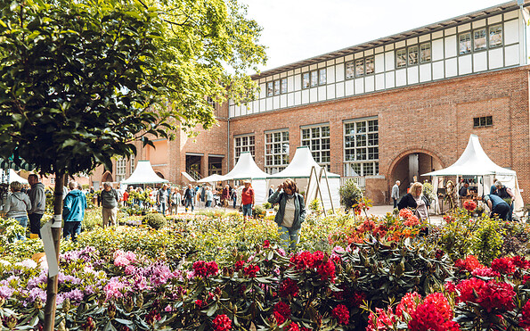 Foto: Gartentraeume B.V., Lizenz: Gartentraeume B.V.