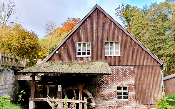 Foto: Gabriele Werner