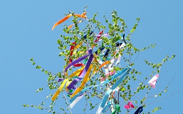 Foto: Gabriele Werner