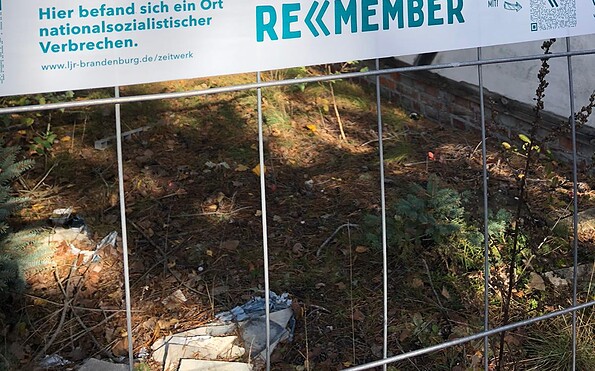 Foto: Michael Siebert