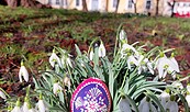 Foto: Dr. Corinna Junker, Lizenz: Stadt Lübben (Spreewald)