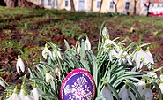 Foto: Dr. Corinna Junker, Lizenz: Stadt Lübben (Spreewald)