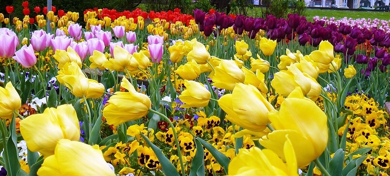 Osterfeuer in Miersdorf