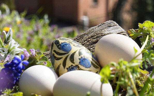 Foto: Anja Freyhoff, Lizenz: Anja Freyhoff