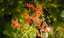 Frühjahrspflanzentauschbörse