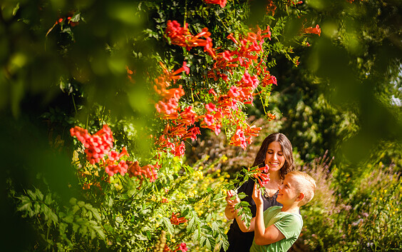 Foto: André Wirsig, Lizenz: REGiO-Nord mbH