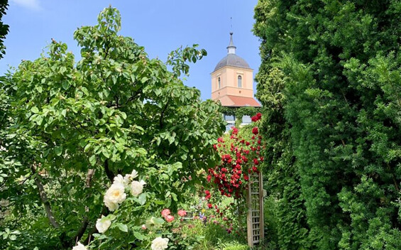 Foto: Freundeskreises Hans-Joachim Scheffler-Garten e.V., Lizenz: Freundeskreises Hans-Joachim Scheffler-Garten e.V.