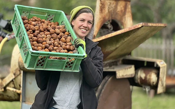 Foto: Böllersen, Lizenz: Walnussmeisterei Böllersen
