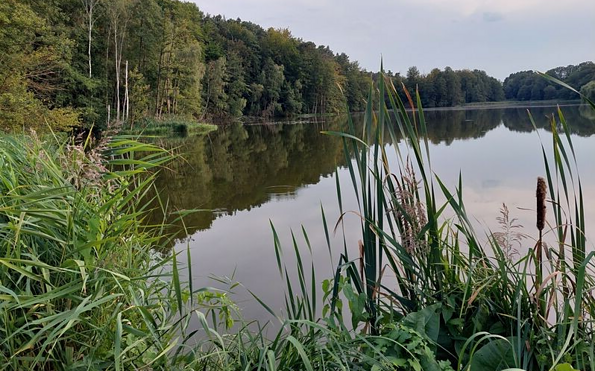 Foto: Gabriele Werner