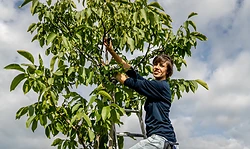 Ackerbegehung Walnussmeisterei Böllersen