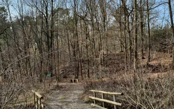 Foto: Danny Dittberner