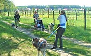 Huskyfarm_Führung mit Waldspaziergang 1, Foto: Sabine Kühn