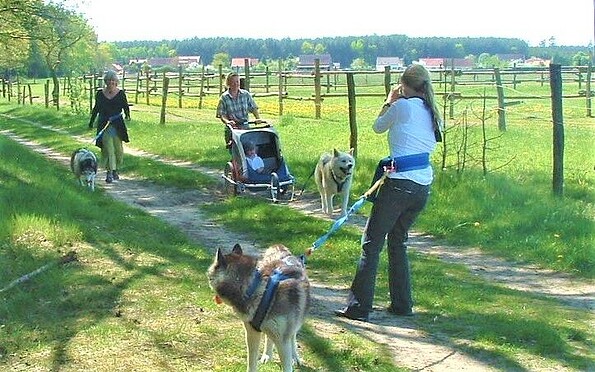 Huskyfarm_Führung mit Waldspaziergang 1, Foto: Sabine Kühn
