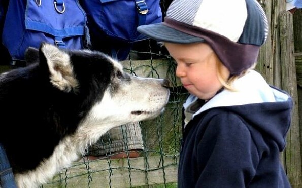 Huskyfarm_Führung mit Waldspaziergang 2, Foto: Sabine Kühn