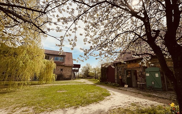 Foto: Anne Schattka-Steinbruch