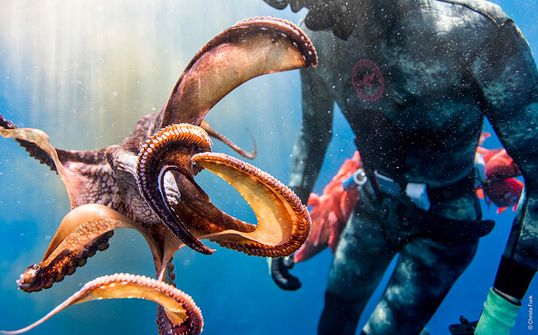 Foto: Christa Funk, Lizenz: Christa Funk