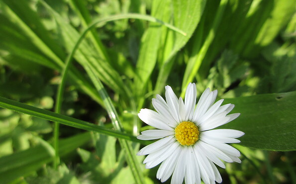 Foto: Anet Hoppe, Lizenz: TMU GmbH
