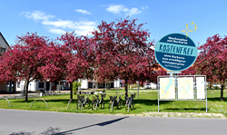 Aktiv Wochenplan - Kneipp-Güsse am Morgen