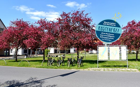Foto: Tourismusverein Scharmützelsee e. V. , Lizenz: Tourismusverein Scharmützelsee e. V.