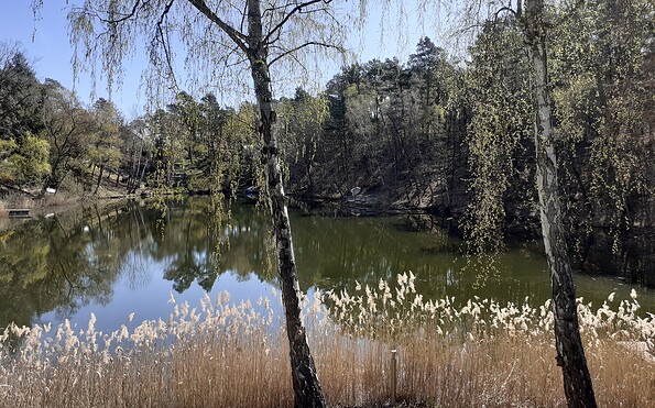 Foto: Ute Bernhardt, Lizenz: Ute Bernhardt