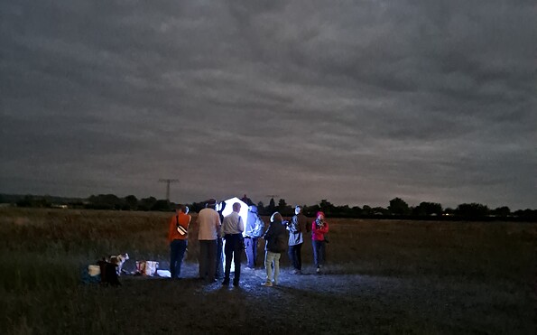 Foto: Cathrina Balthasar, Lizenz: Cathrina Balthasar