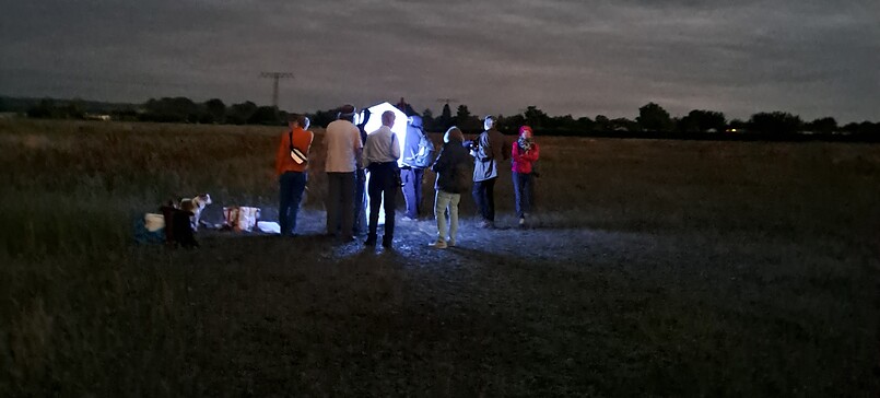 Tiere der Nacht - Von Eulen, Spannern, Schwärmern, Bären und Fledermäusen