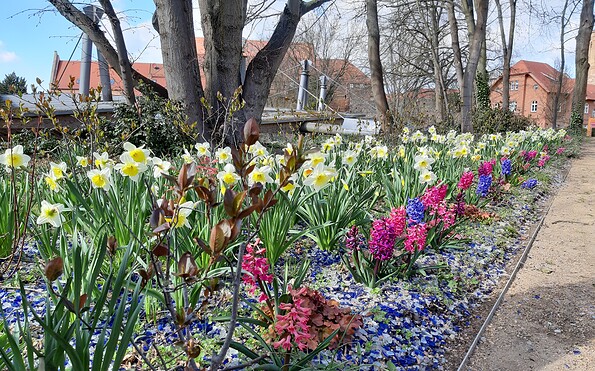 Foto: Antje Lang, Lizenz: Antje Lang