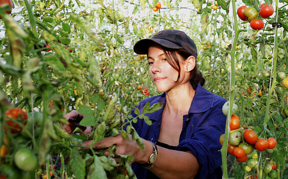 Foto: © Edgar Herbst