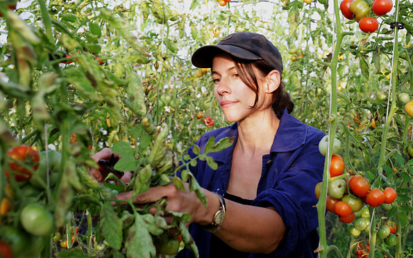 Foto: © Edgar Herbst