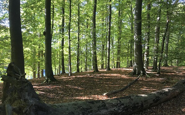 Foto: Silke Rumpelt, Lizenz: TMU GmbH